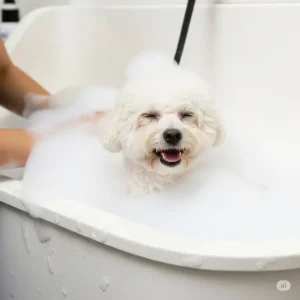 A contented dog being pampered with shampoo and bubbles in a specialized dog grooming bathtub, enjoying the bathing process.