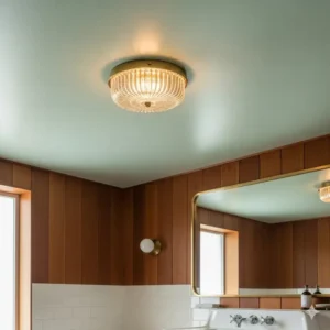  An understated flush-mount ceiling light with a textured glass shade is perfect for low-ceiling mid-century bathroom lighting.